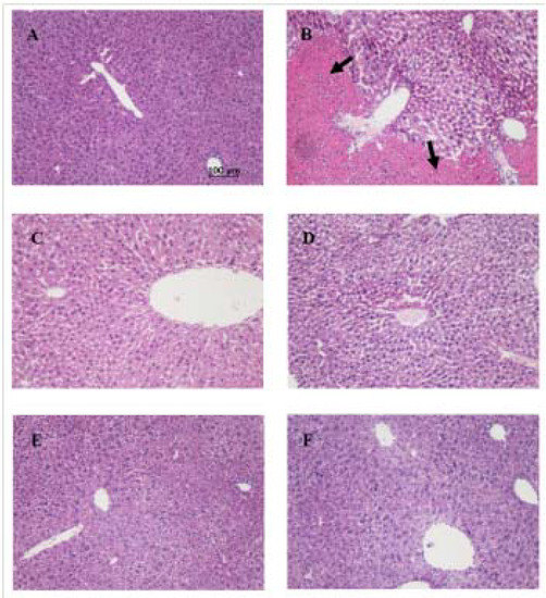 Molecules 16 09049 g003 550