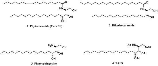 Molecules 16 09090 g001 550