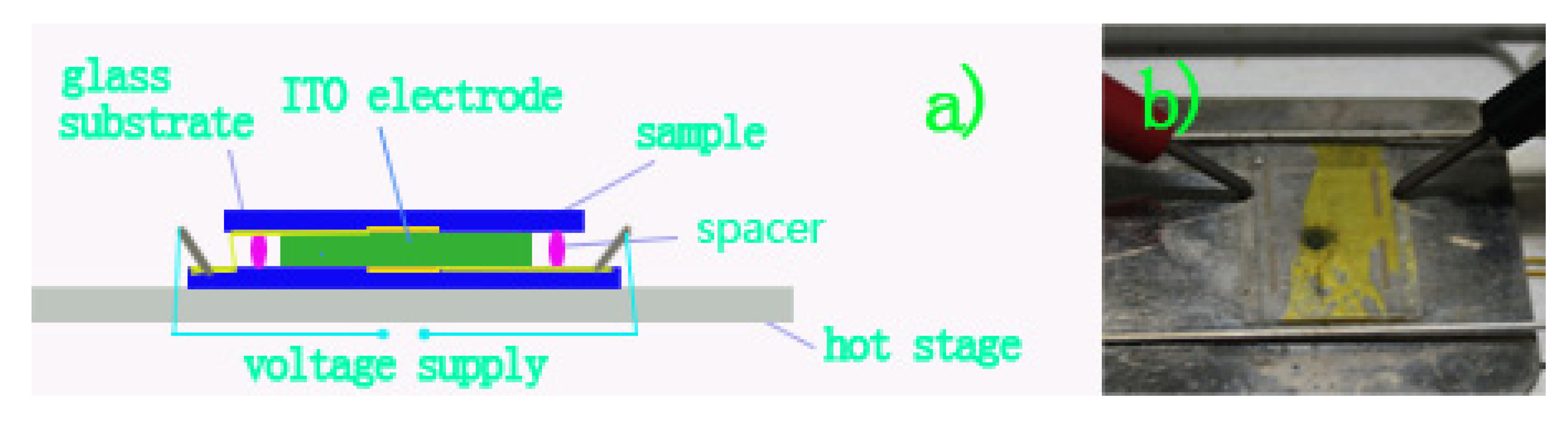 Molecules 16 09101 g004