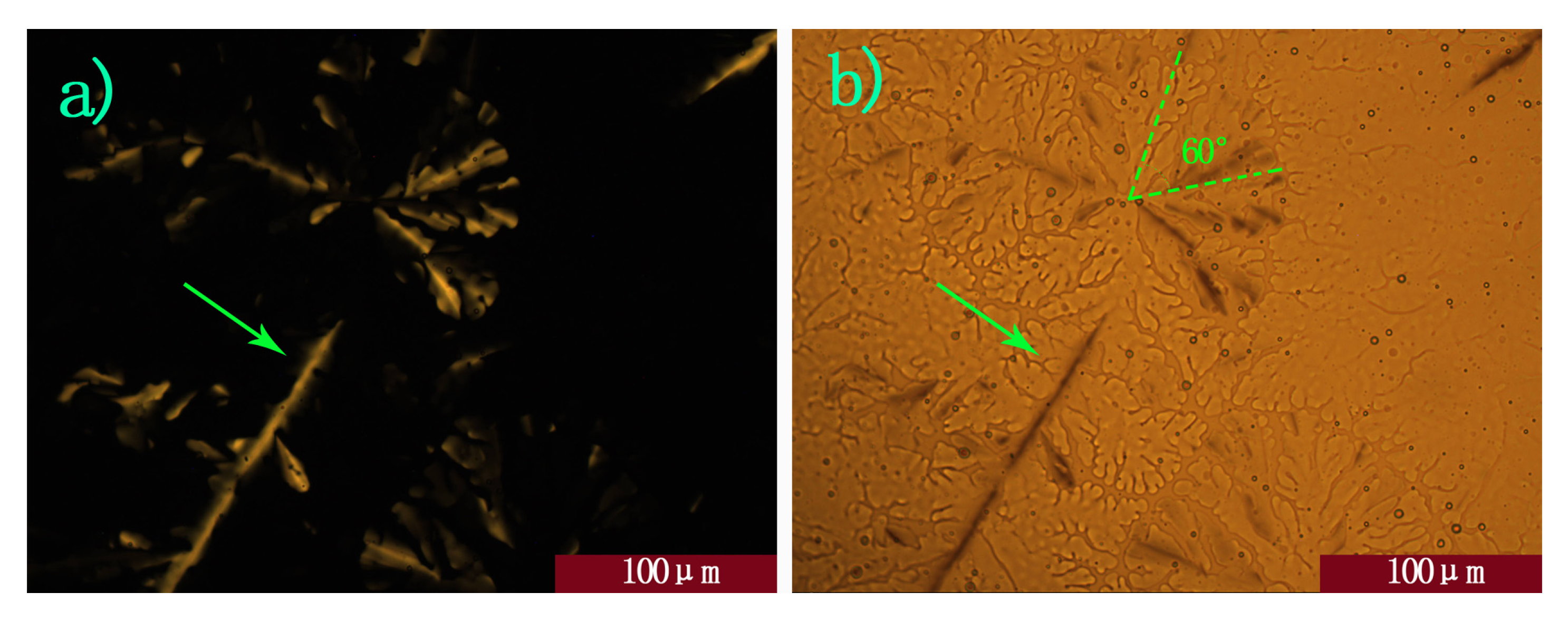 Molecules 16 09101 g005