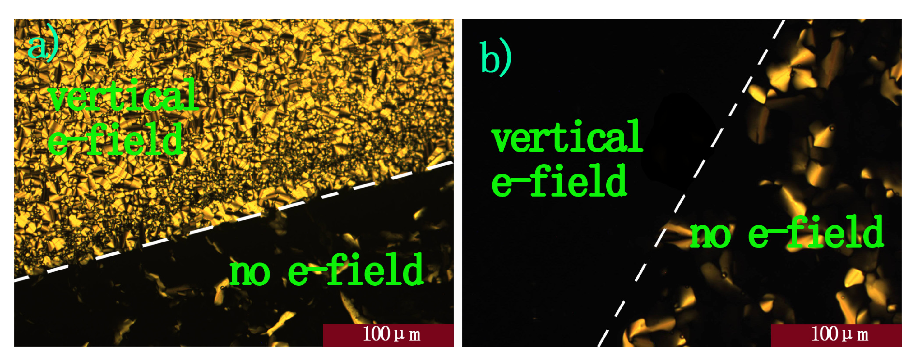 Molecules 16 09101 g006