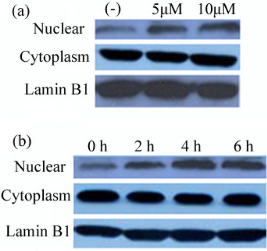Molecules 16 09234 g003 550