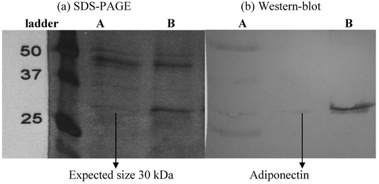 Molecules 16 09534 g001 550
