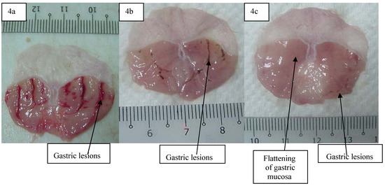 Molecules 16 09534 g004 550