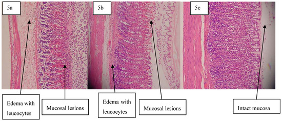 Molecules 16 09534 g005 550
