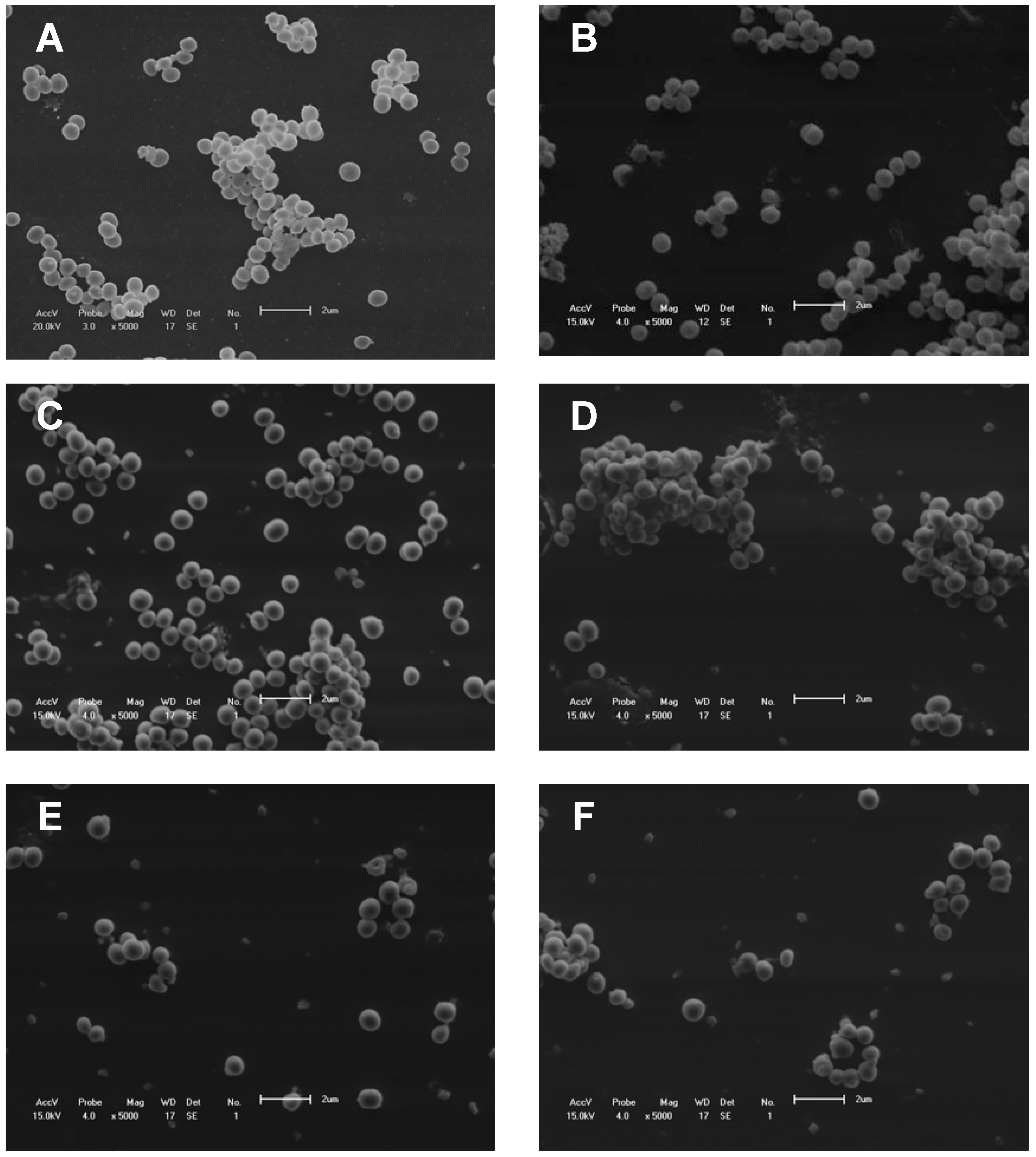 Molecules 16 09925 g005