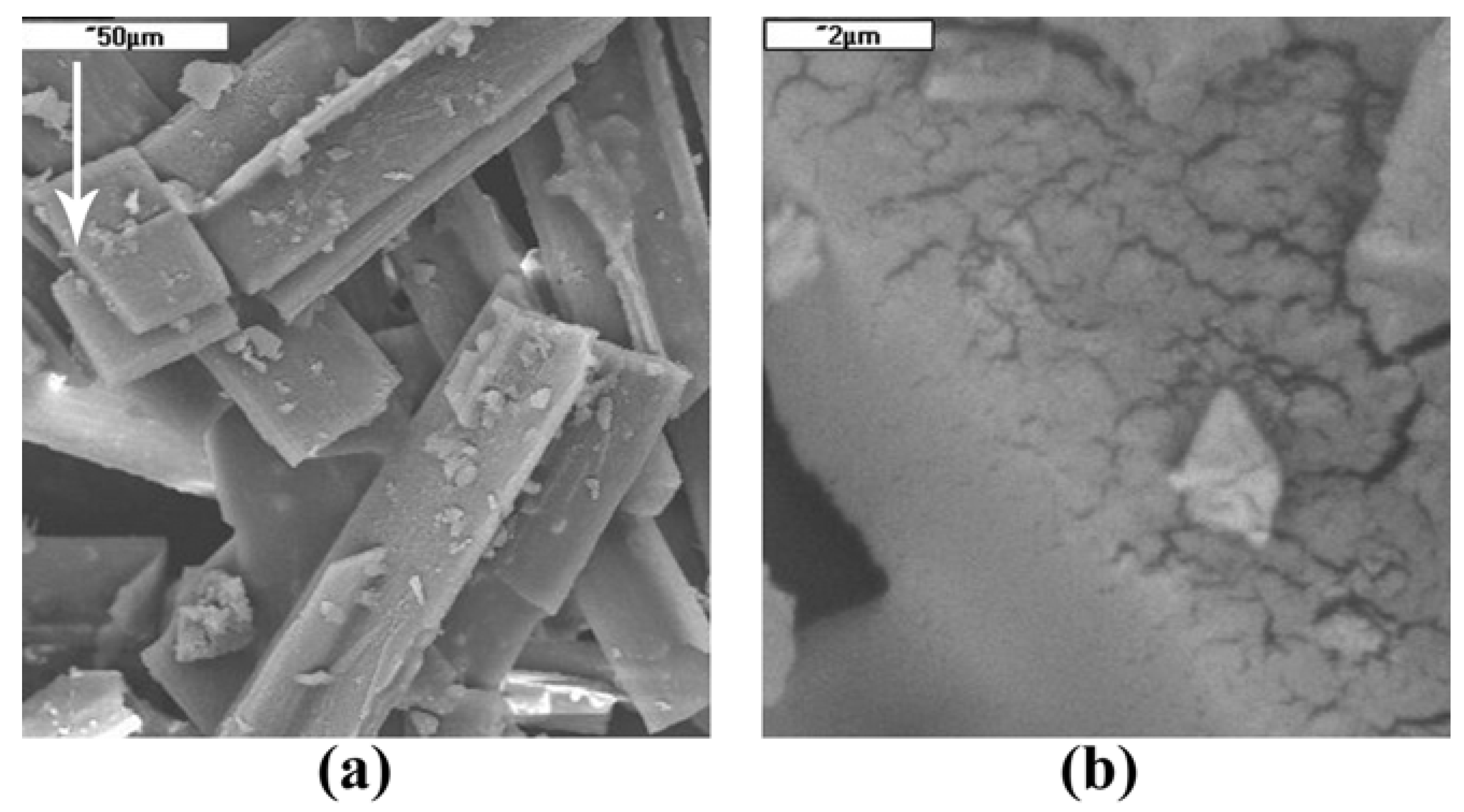 Molecules 16 09957 g003