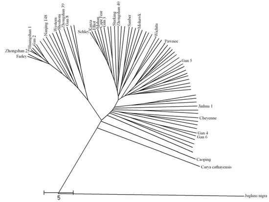 Molecules 16 10078 g001 550