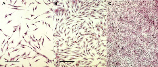 Molecules 16 10123 g001 550