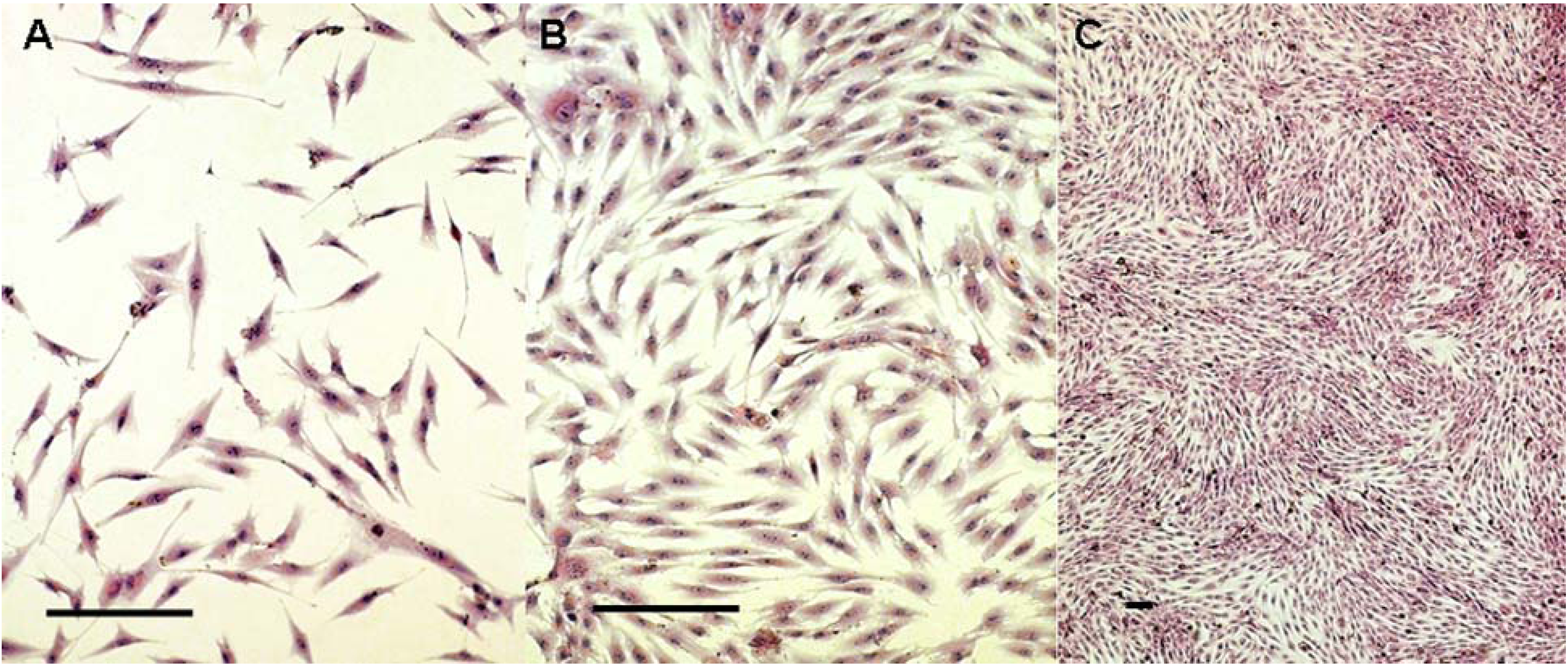 Molecules 16 10123 g001