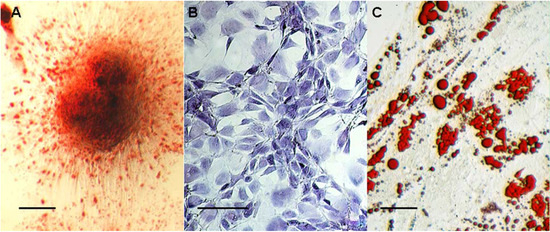 Molecules 16 10123 g003 550