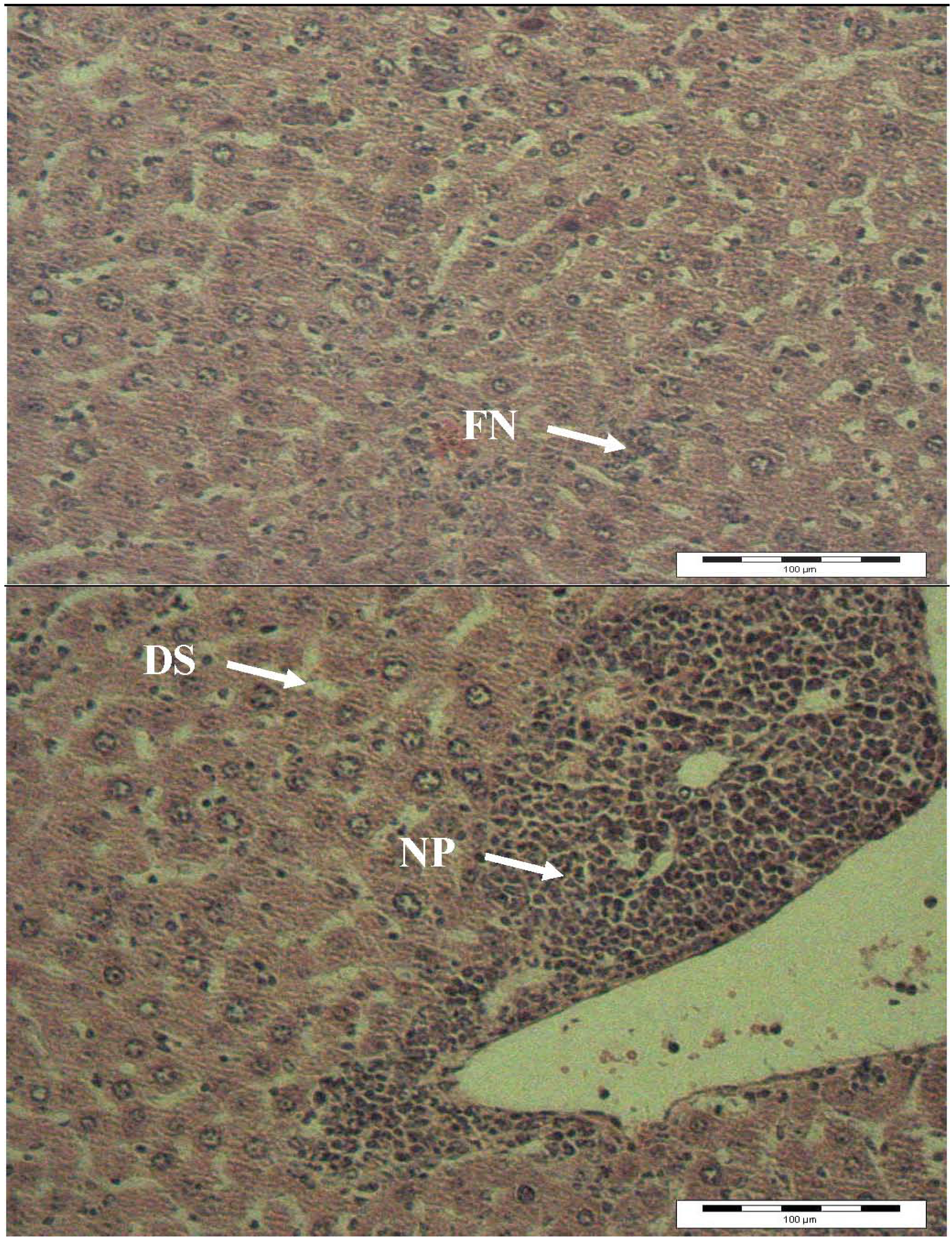 Molecules 16 10134 g003