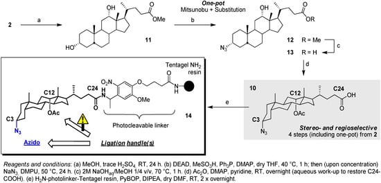 Molecules 16 10168 g004 550
