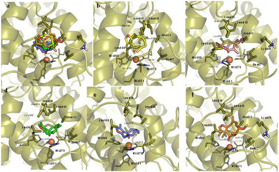 Molecules 16 10357 g004 550