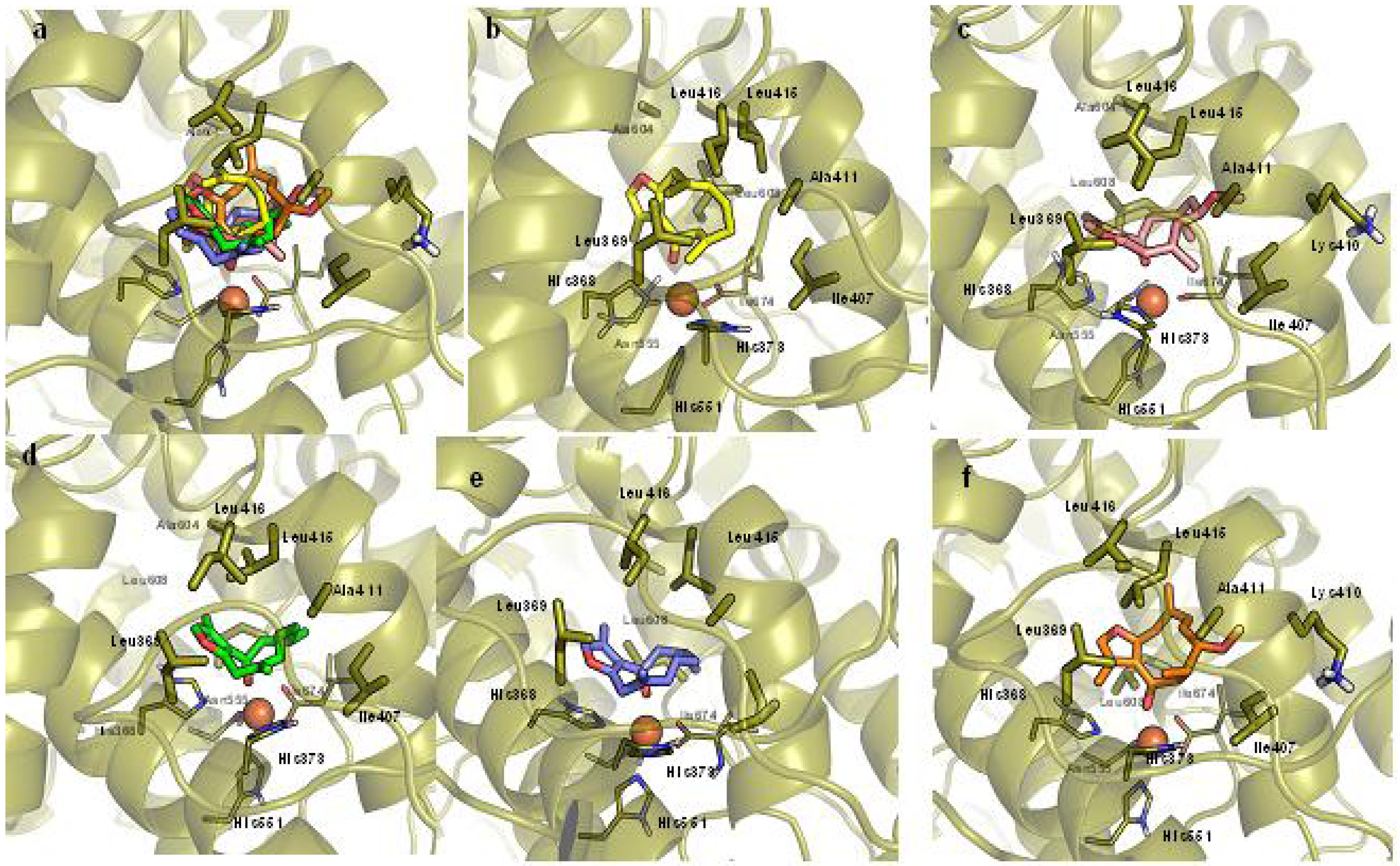 Molecules 16 10357 g004