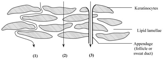 Molecules 16 10507 g001 550