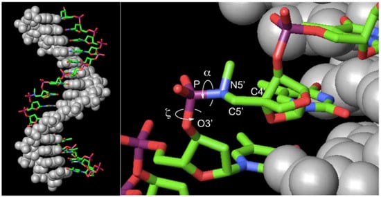 Molecules 16 10695 g005 550