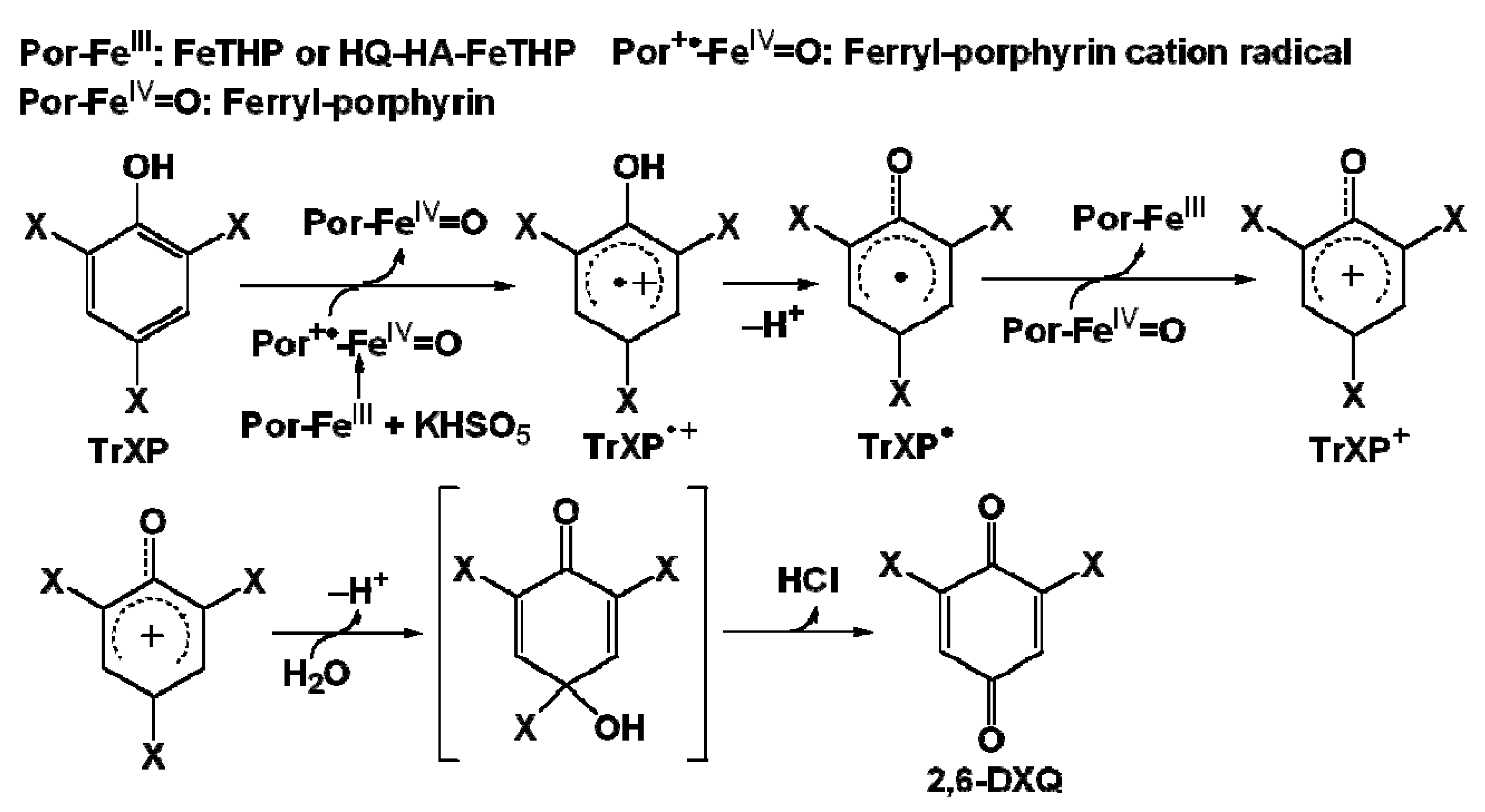Molecules 17 00048 g008
