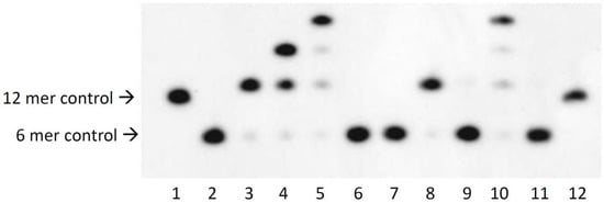 Molecules 17 00163 g002 550