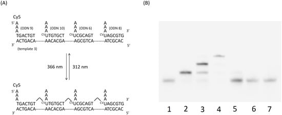 Molecules 17 00163 g005 550