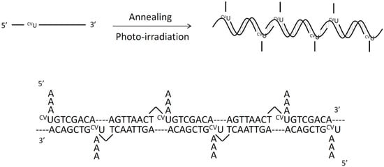 Molecules 17 00163 g007 550