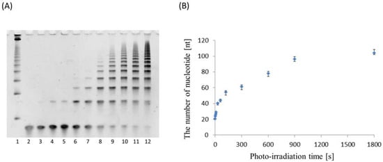 Molecules 17 00163 g008 550