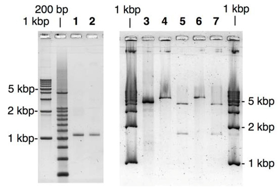 Molecules 17 00328 g002 550