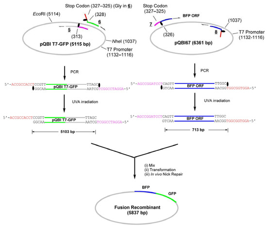Molecules 17 00328 g008 550