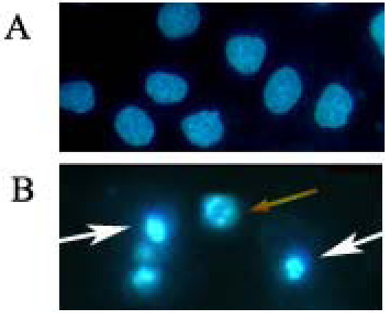 Molecules 17 00598 g003 550