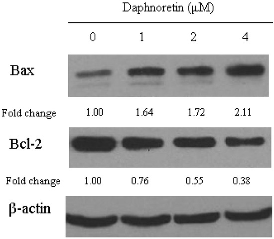 Molecules 17 00598 g007 550