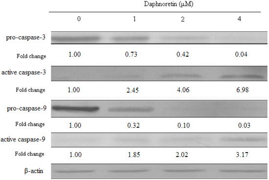 Molecules 17 00598 g008 550
