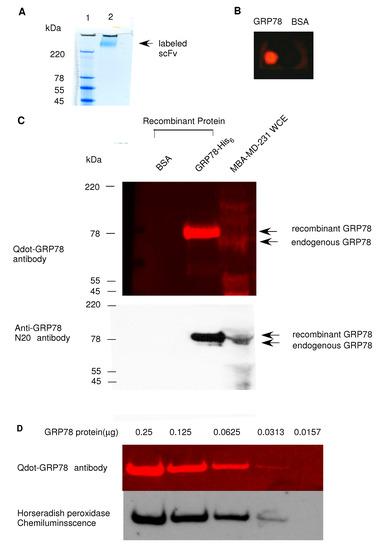 Molecules 17 00796 g001 550