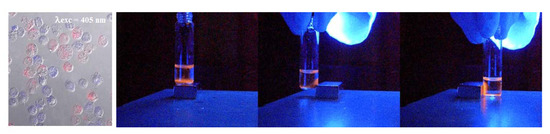 Molecules 17 00910 g014 550