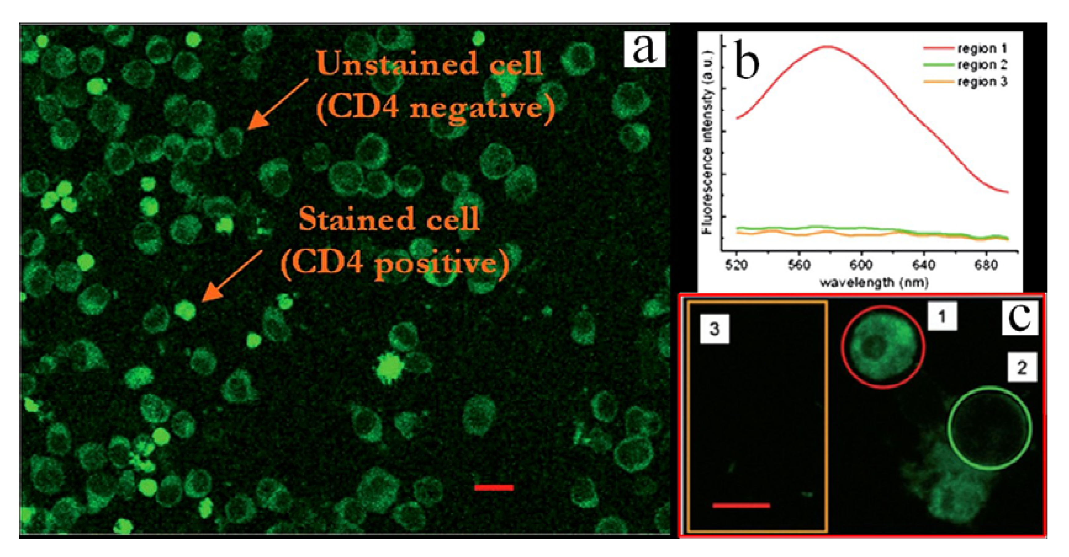 Molecules 17 00910 g015
