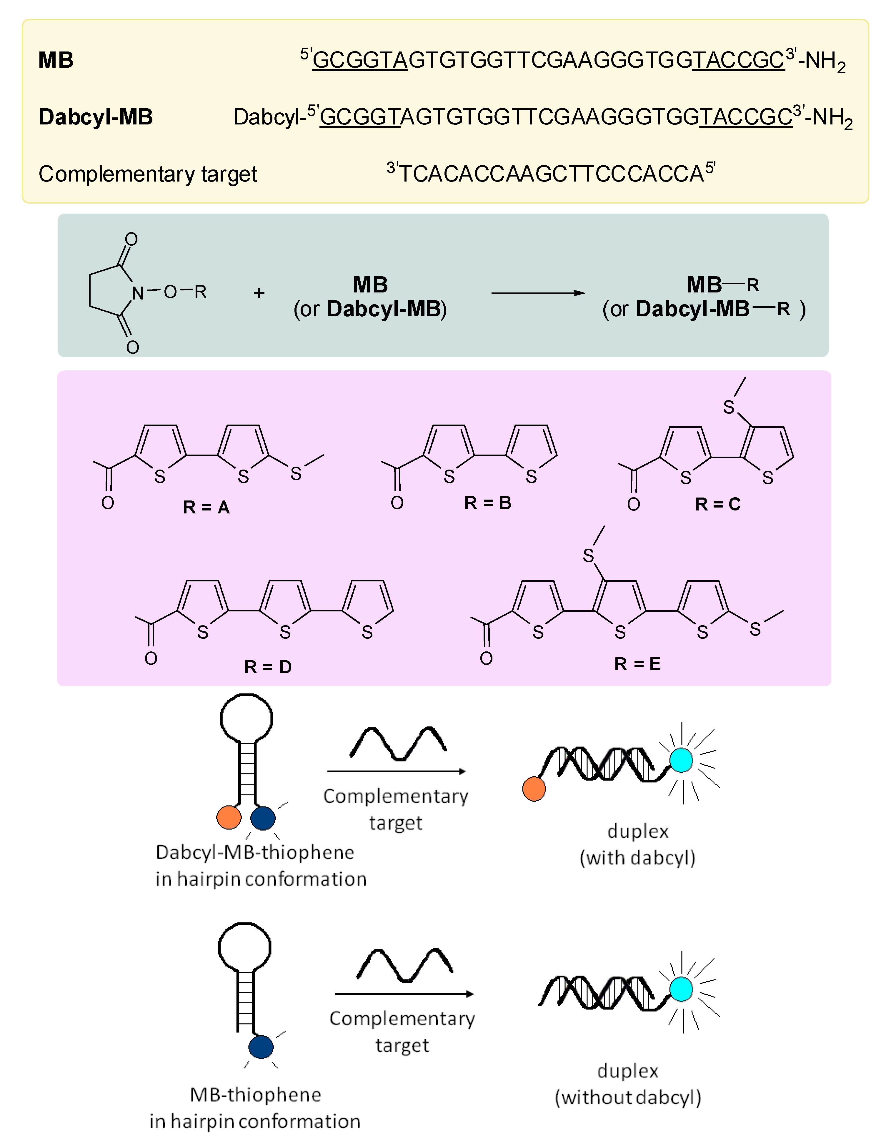 Molecules 17 00910 g017