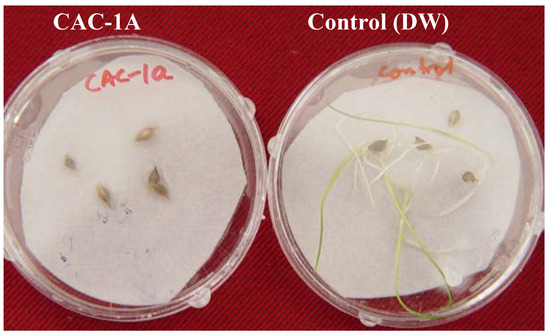 Molecules 17 01103 g004 550