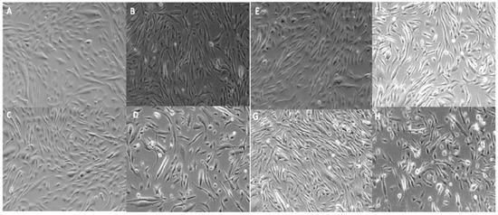 Molecules 17 01138 g003 550