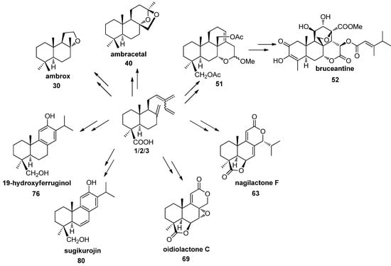 Molecules 17 01448 g008 550