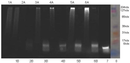 Molecules 17 01520 g001 550