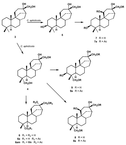 Molecules 17 01744 g002 550