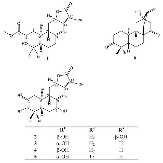 Molecules 17 02082 g001 550