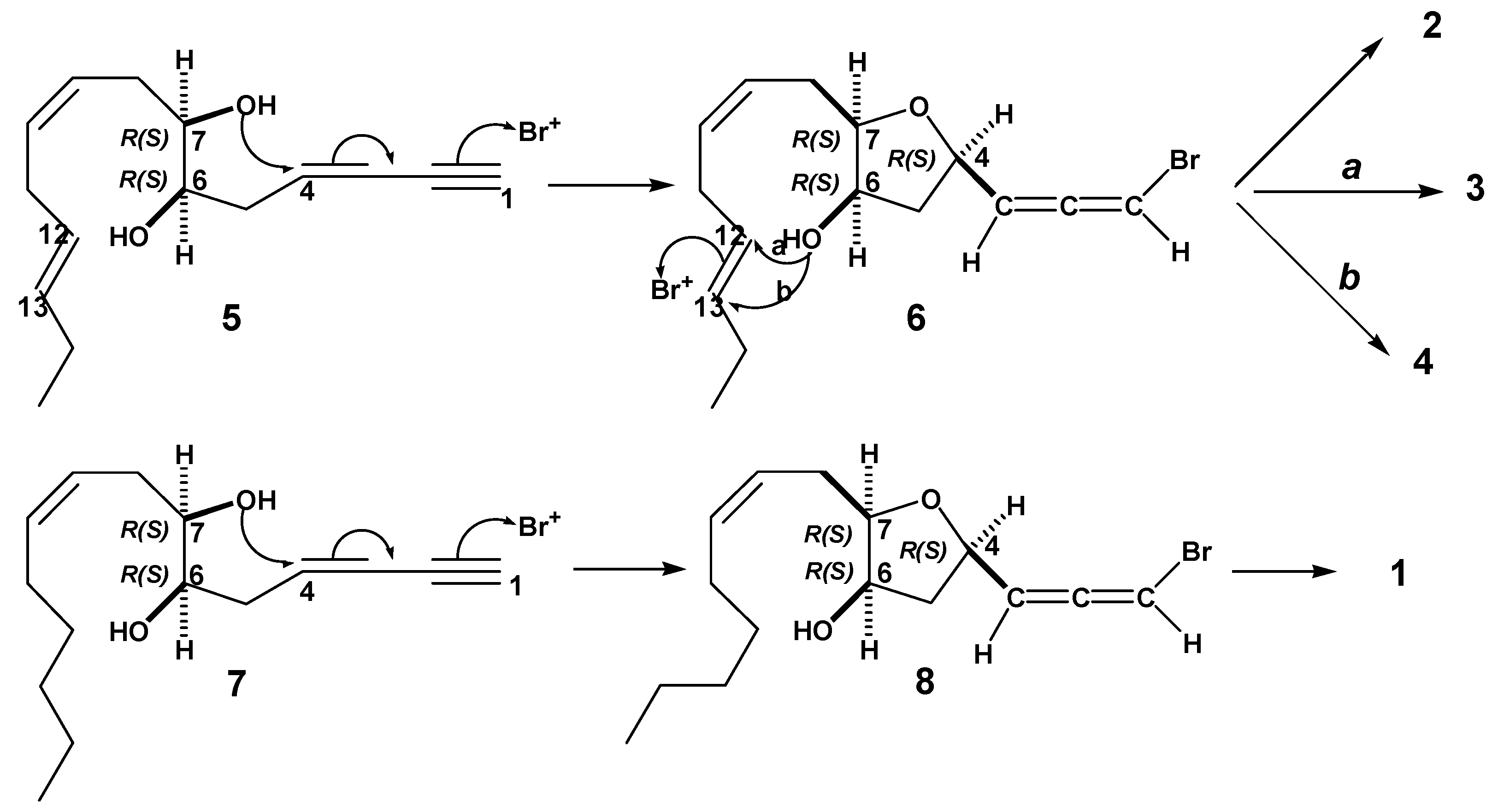Molecules 17 02119 g002