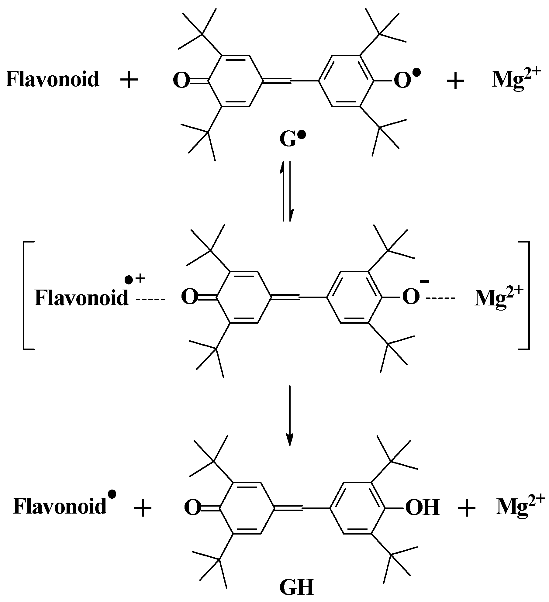 Molecules 17 02140 g004