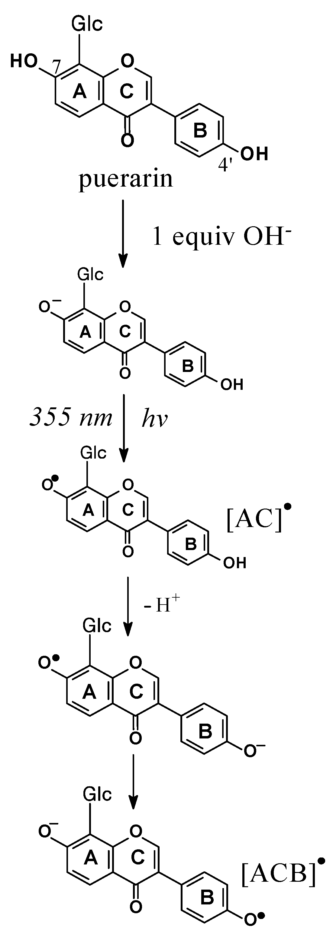 Molecules 17 02140 g005
