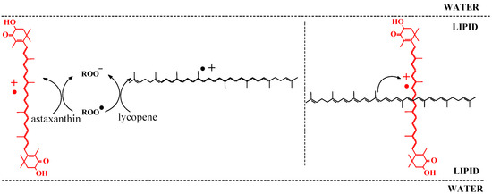 Molecules 17 02140 g009 550