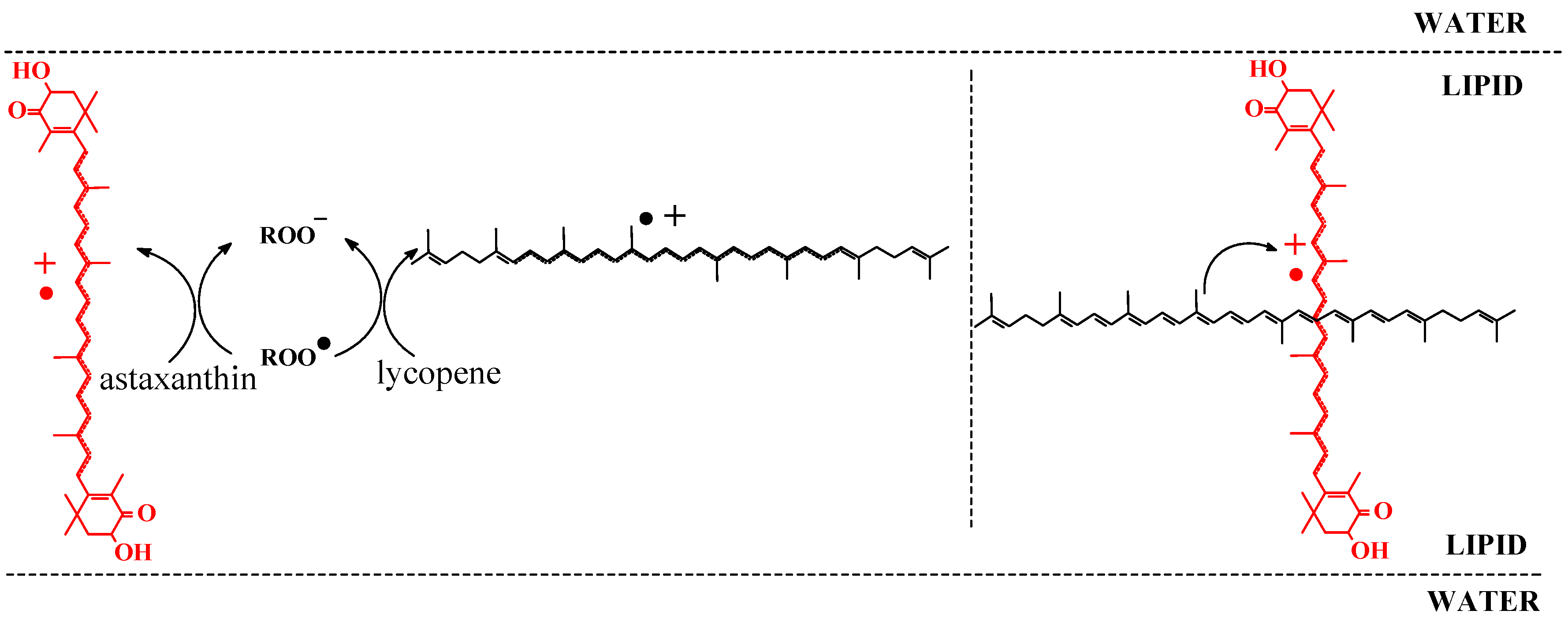 Molecules 17 02140 g009