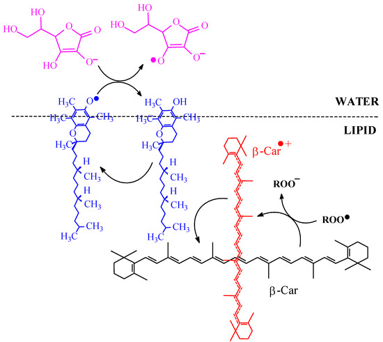 Molecules 17 02140 g010 550