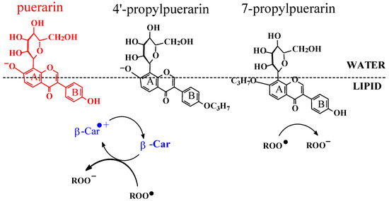 Molecules 17 02140 g011 550