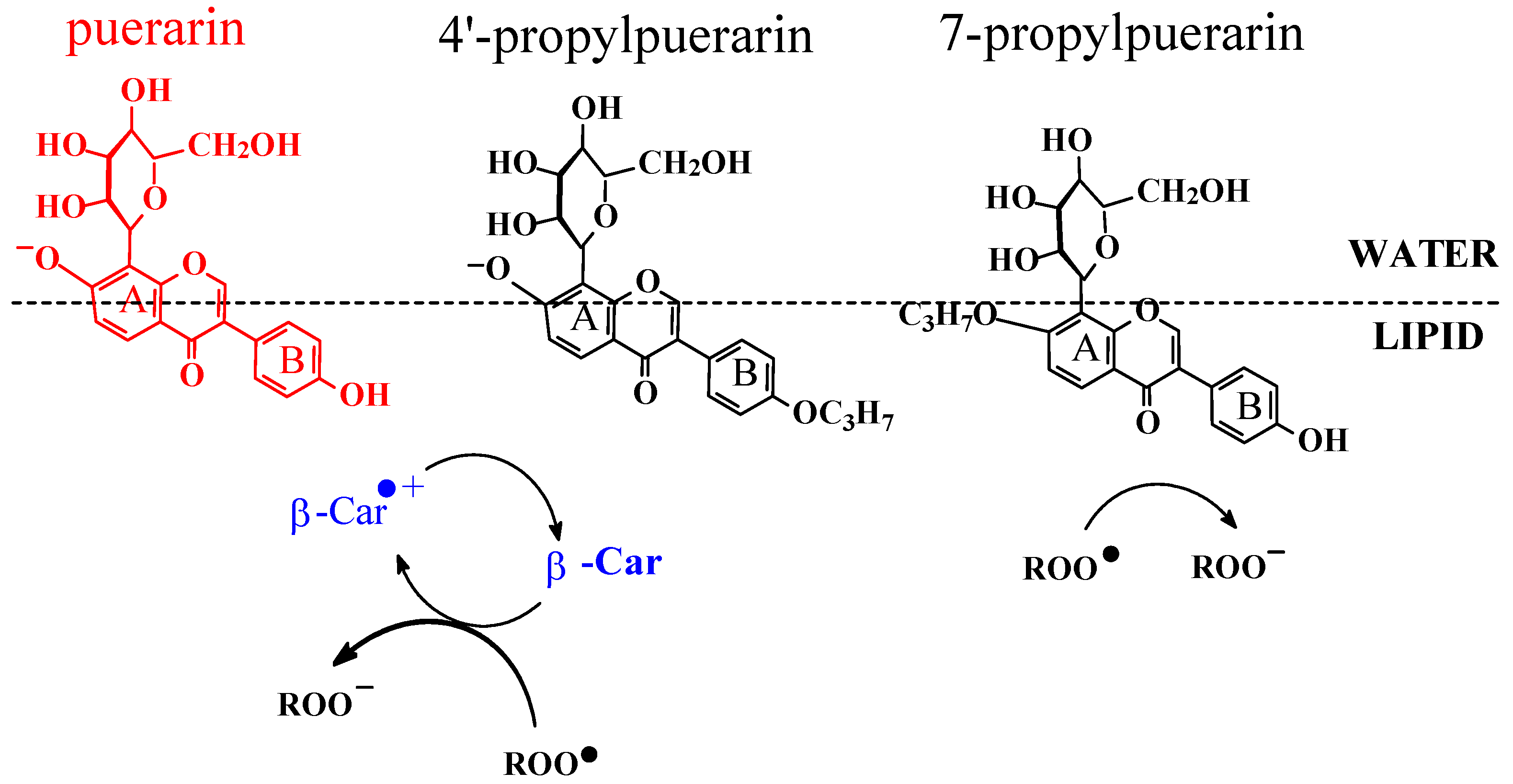 Molecules 17 02140 g011