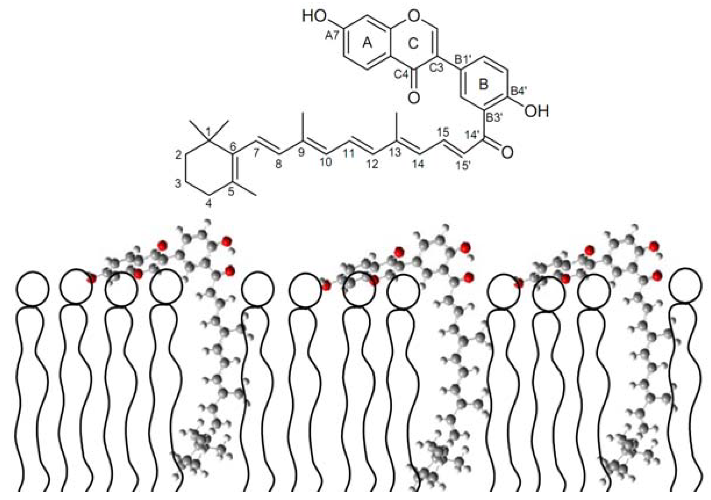 Molecules 17 02140 g012